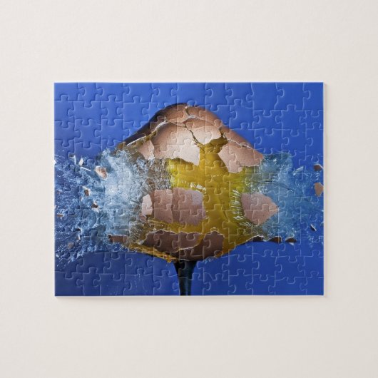 Puzzle Eggceptional (Horizontal)