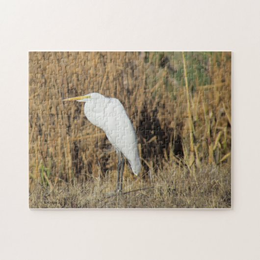 Puzzle - Egret in gras Legpuzzel (Horizontaal)