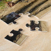 Puzzle Égypte - Mer Rouge - Marsa Alam - (Côté)