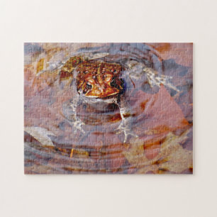 Puzzle Eh bien Bonjour ami Toad