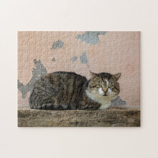 Puzzle Eine Katze vor alter Mauer (Horizontal)