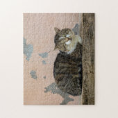 Puzzle Eine Katze vor alter Mauer (Vertical)