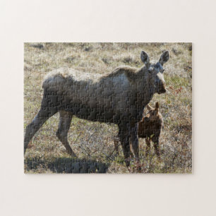Puzzle Élan femelle d'Alaska avec son petit
