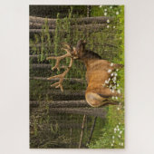 Puzzle Élan mâle en velours, Canada (Vertical)