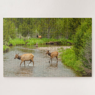 Puzzle Élans traversant la rivière Colorado