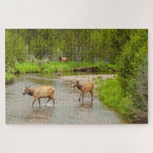Puzzle Élans traversant le fleuve Colorado (Horizontal)