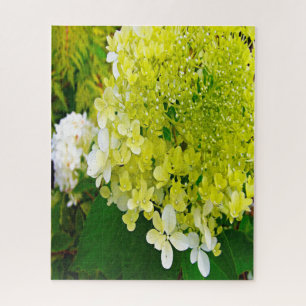 Puzzle Élégante Chartreuse Vert Limelight Hydrangea
