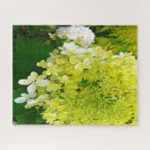 Puzzle Élégante Chartreuse Vert Limelight Hydrangea (Horizontal)
