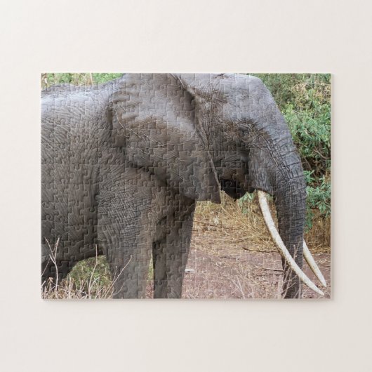 Puzzle Éléphant (Horizontal)