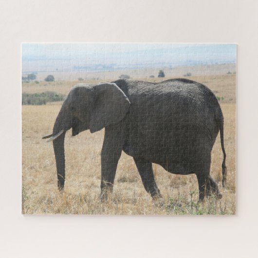 Puzzle éléphant africain (Horizontal)