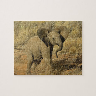 Puzzle Éléphant d'Afrique bébé, Loxodonta Africana,