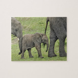 Puzzle Éléphant d'Afrique femelle avec bébé