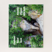 Puzzle Elephant Head Rock (Vertical)