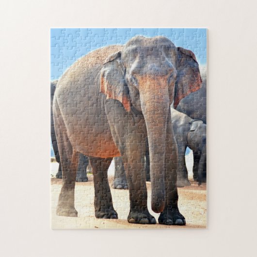 Puzzle Éléphant indien Sri Lanka. (Vertical)