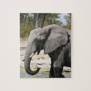 Puzzle Éléphant (Loxodonta africana), Chenal Savute