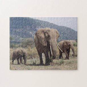 Puzzle Éléphant mère marchant avec un éléphant jeune