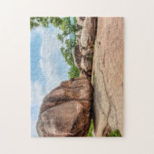 Puzzle Elephant Rocks State Park (Vertical)