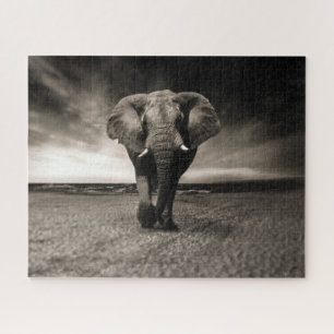 Puzzle Éléphant sur la course