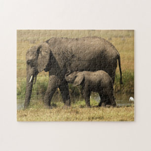 Puzzle Éléphants africains