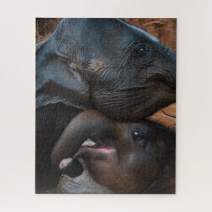 Puzzle Eléphants bébés dans l'eau souriant