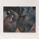 Puzzle Eléphants bébés dans l'eau souriant (Horizontal)