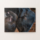 Puzzle Eléphants bébés dans l'eau souriant (Horizontal)