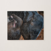 Puzzle Eléphants bébés dans l'eau souriant (Horizontal)