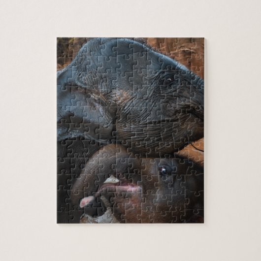 Puzzle Eléphants bébés dans l'eau souriant (Vertical)