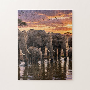 Puzzle Éléphants d'Afrique au point d'eau au coucher du s
