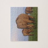 Puzzle Éléphants indiens dans la prairie (Vertical)