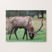 Puzzle Elk (Horizontal)