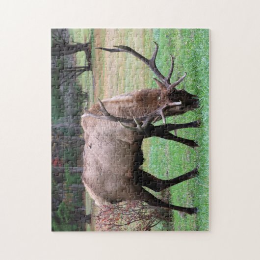 Puzzle Elk (Vertical)