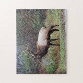 Puzzle Elk (Vertical)