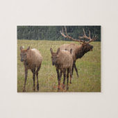 Puzzle Elk (Horizontal)