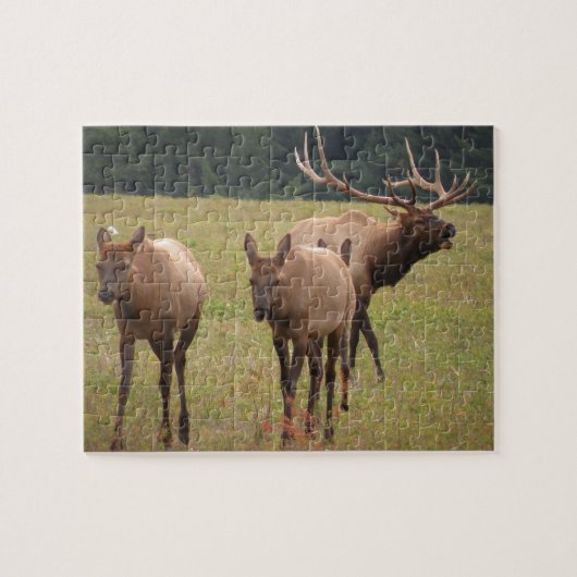 Puzzle Elk (Horizontal)
