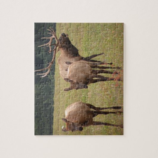 Puzzle Elk (Vertical)