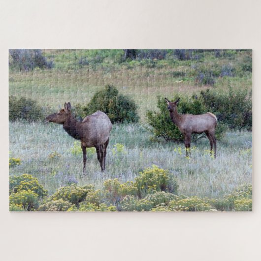 Puzzle Elk américain | Colorado (Horizontal)