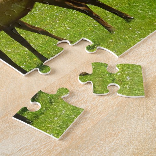 Puzzle Elk Crossing California Wildlife Photography (Côté)