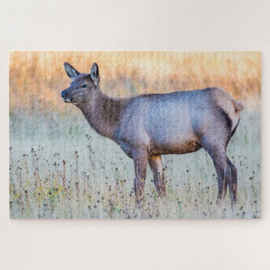 Puzzle Elk de veau | Madison Junction, Wyoming (Horizontal)