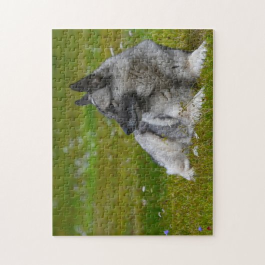 Puzzle Elk Hound Dog. (Vertical)