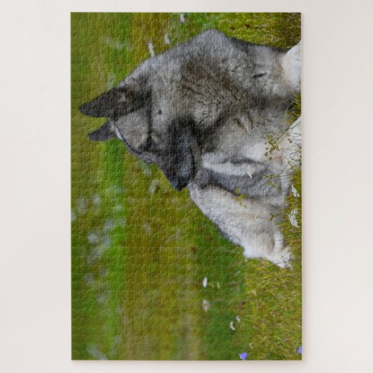 Puzzle Elk Hound Dog. (Vertical)