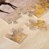 Puzzle Elk in Rocky Mountain National Park, Colorado (Côté)