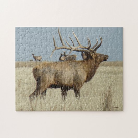 Puzzle Elk taureau E4 (Horizontal)