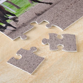 Puzzle Emballage à la ligne d'arrivée chez Saratoga (Côté)