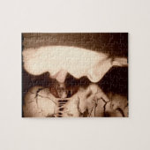 Puzzle Embrasser les pertes (Horizontal)