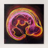 Puzzle Embryo (Horizontal)