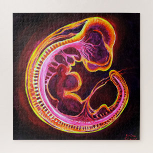 Puzzle Embryo