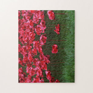Puzzle en céramique/puzzle de pavots