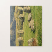 Puzzle en pierre de cercle de Castlerigg (Vertical)