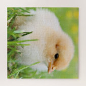 Puzzle Enfant poussin printemps (Horizontal)